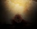 capture ecran dragon age 0018
